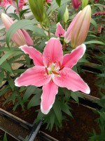 [5356 Mumbai DJ No01.JPG]